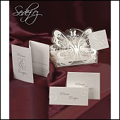 Svatební oznámení jako průhledný motýl s kartou vevnitř